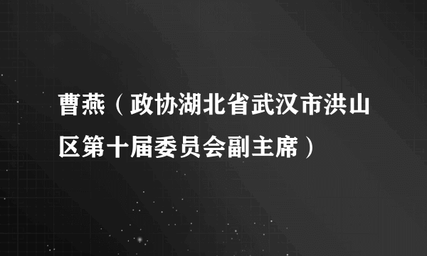 曹燕（政协湖北省武汉市洪山区第十届委员会副主席）