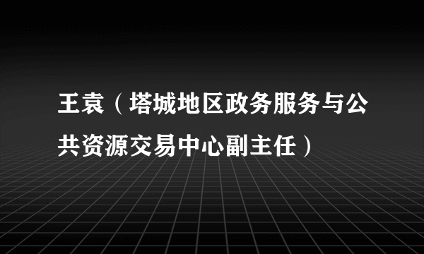 王袁（塔城地区政务服务与公共资源交易中心副主任）