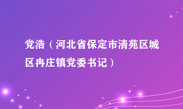 党浩（河北省保定市清苑区城区冉庄镇党委书记）