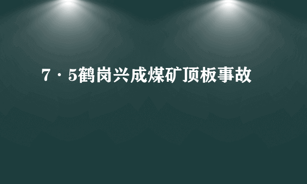 7·5鹤岗兴成煤矿顶板事故