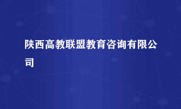 陕西高教联盟教育咨询有限公司