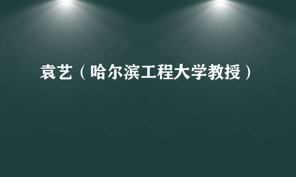 袁艺（哈尔滨工程大学教授）