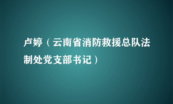 卢婷（云南省消防救援总队法制处党支部书记）