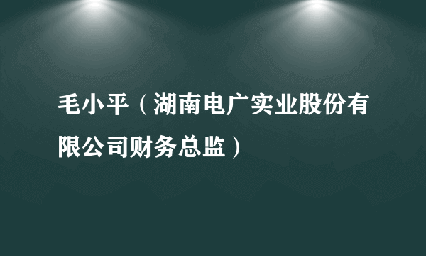 毛小平（湖南电广实业股份有限公司财务总监）