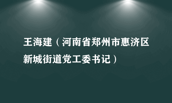 王海建（河南省郑州市惠济区新城街道党工委书记）