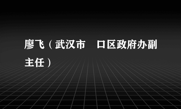 廖飞（武汉市硚口区政府办副主任）