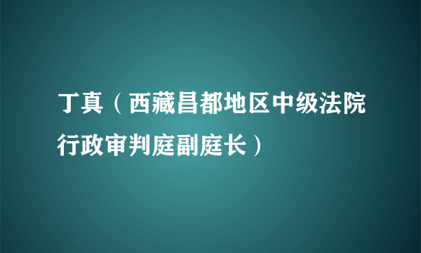 丁真（西藏昌都地区中级法院行政审判庭副庭长）