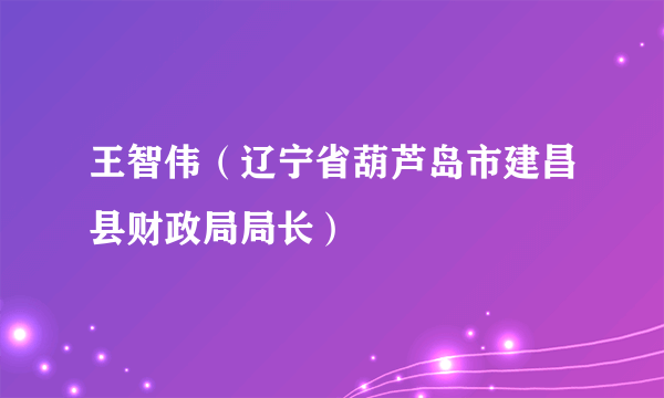 王智伟（辽宁省葫芦岛市建昌县财政局局长）