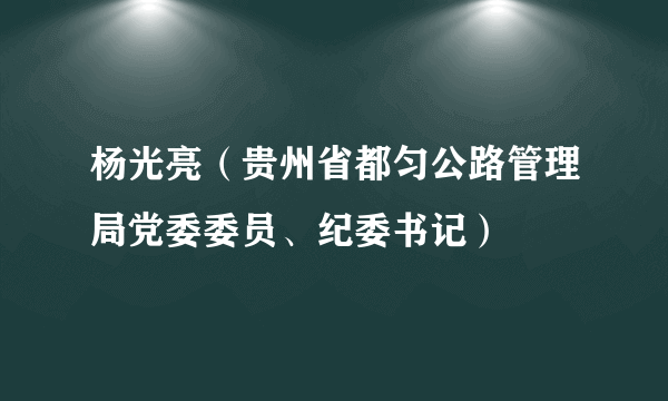 杨光亮（贵州省都匀公路管理局党委委员、纪委书记）