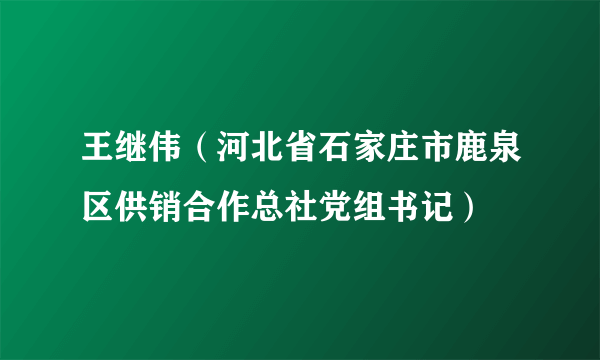 王继伟（河北省石家庄市鹿泉区供销合作总社党组书记）