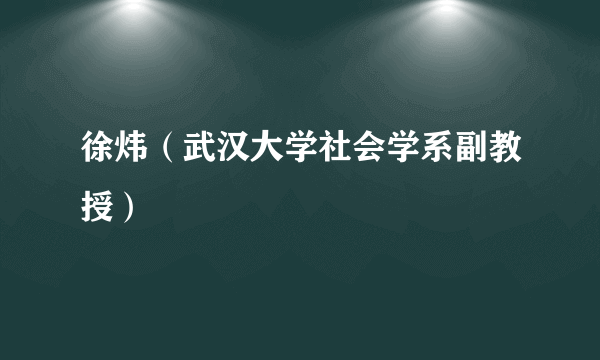 徐炜（武汉大学社会学系副教授）