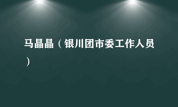 马晶晶（银川团市委工作人员）