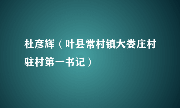 杜彦辉（叶县常村镇大娄庄村驻村第一书记）