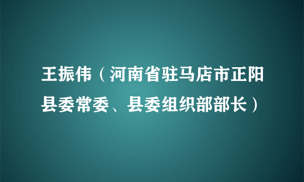 王振伟（河南省驻马店市正阳县委常委、县委组织部部长）