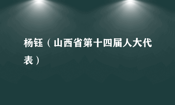 杨钰（山西省第十四届人大代表）