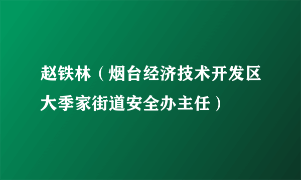 赵铁林（烟台经济技术开发区大季家街道安全办主任）