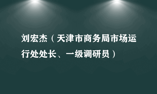 刘宏杰（天津市商务局市场运行处处长、一级调研员）