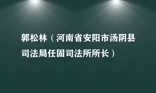 郭松林（河南省安阳市汤阴县司法局任固司法所所长）