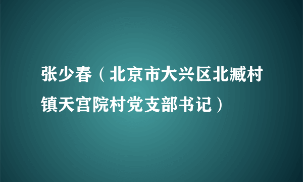 张少春（北京市大兴区北臧村镇天宫院村党支部书记）