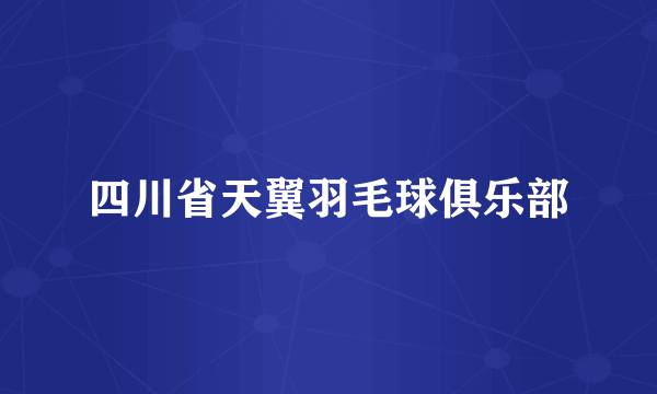 四川省天翼羽毛球俱乐部