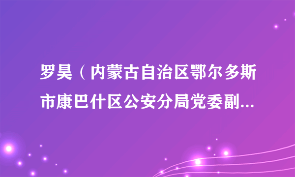 罗昊（内蒙古自治区鄂尔多斯市康巴什区公安分局党委副书记、政委）