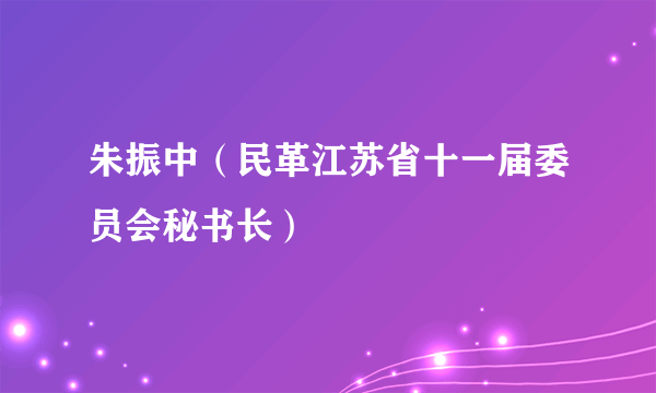 朱振中（民革江苏省十一届委员会秘书长）