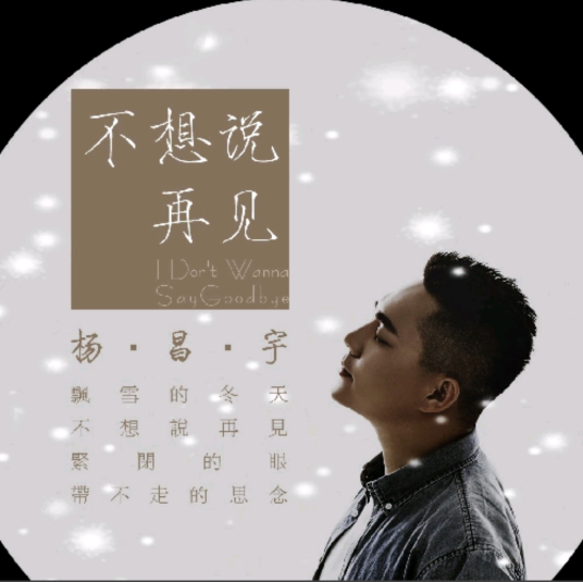 不想说再见（杨昌宇演唱歌曲）