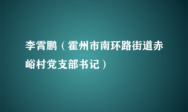 李霄鹏（霍州市南环路街道赤峪村党支部书记）