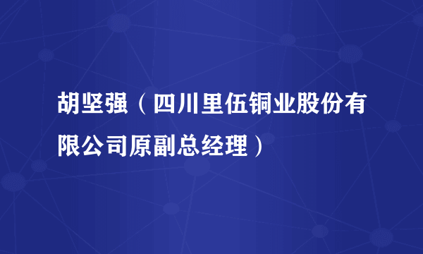 胡坚强（四川里伍铜业股份有限公司原副总经理）