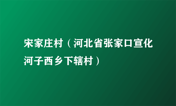 宋家庄村（河北省张家口宣化河子西乡下辖村）