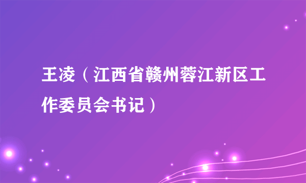 王凌（江西省赣州蓉江新区工作委员会书记）