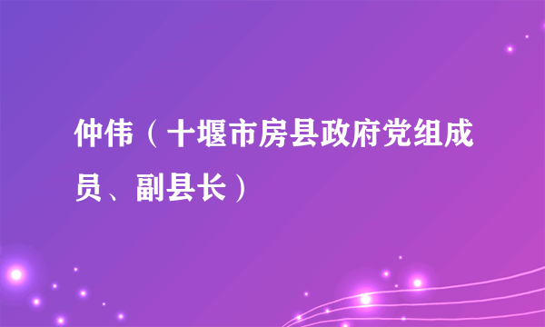 仲伟（十堰市房县政府党组成员、副县长）