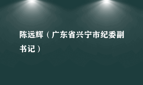 陈远辉（广东省兴宁市纪委副书记）