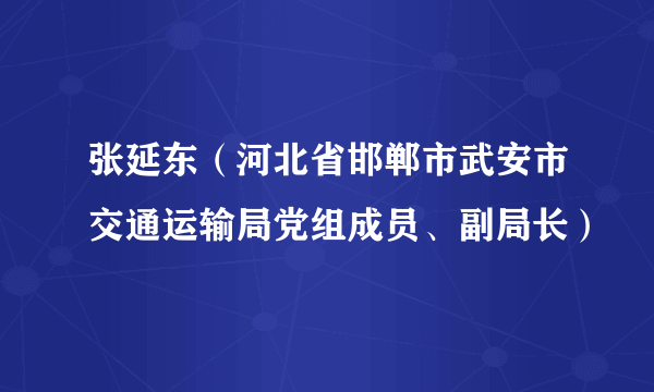 张延东（河北省邯郸市武安市交通运输局党组成员、副局长）