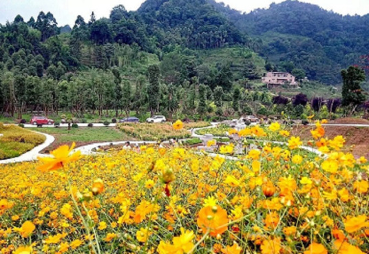 万花谷景区（安边镇治和村的景区）