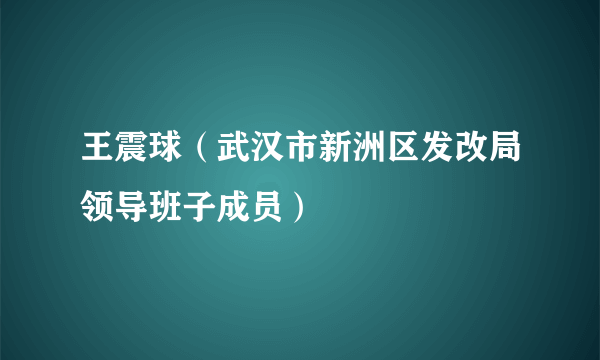 王震球（武汉市新洲区发改局领导班子成员）