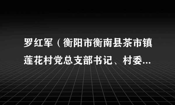 罗红军（衡阳市衡南县茶市镇莲花村党总支部书记、村委会主任）