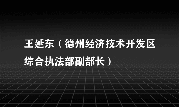 王延东（德州经济技术开发区综合执法部副部长）