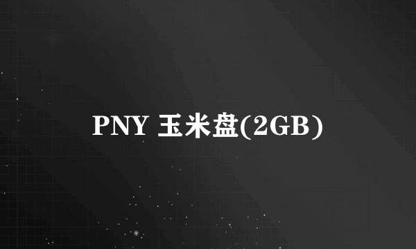 PNY 玉米盘(2GB)