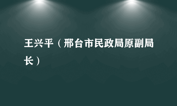 王兴平（邢台市民政局原副局长）