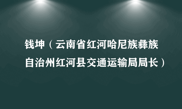 钱坤（云南省红河哈尼族彝族自治州红河县交通运输局局长）