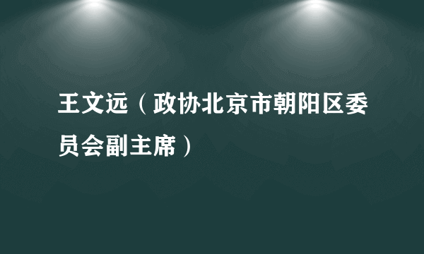 王文远（政协北京市朝阳区委员会副主席）