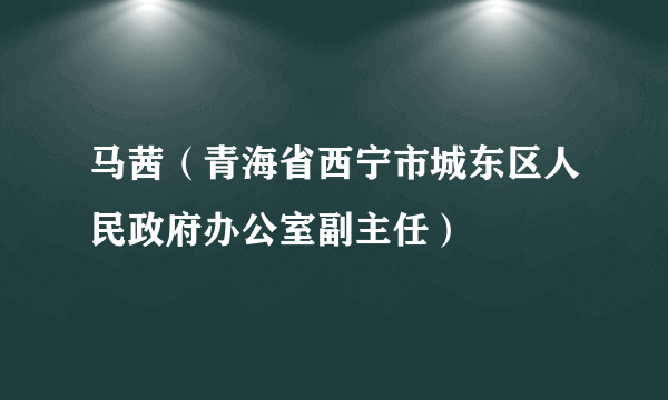 马茜（青海省西宁市城东区人民政府办公室副主任）