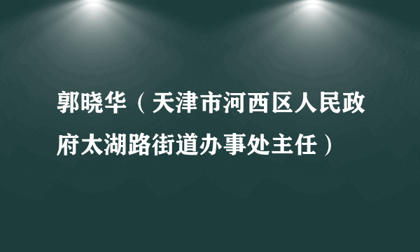 郭晓华（天津市河西区人民政府太湖路街道办事处主任）