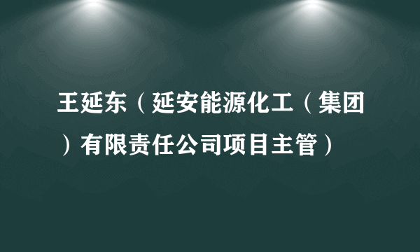 王延东（延安能源化工（集团）有限责任公司项目主管）