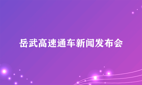 岳武高速通车新闻发布会