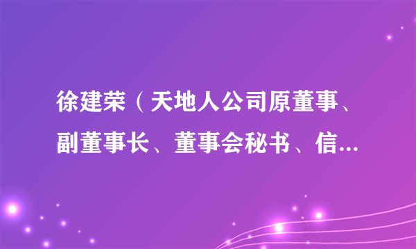 徐建荣（天地人公司原董事、副董事长、董事会秘书、信息披露负责人）