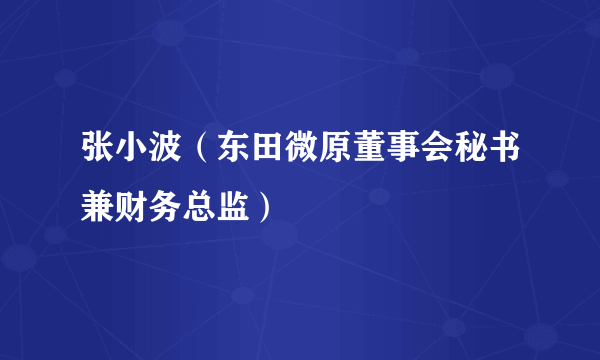 张小波（东田微原董事会秘书兼财务总监）