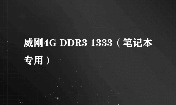 威刚4G DDR3 1333（笔记本专用）