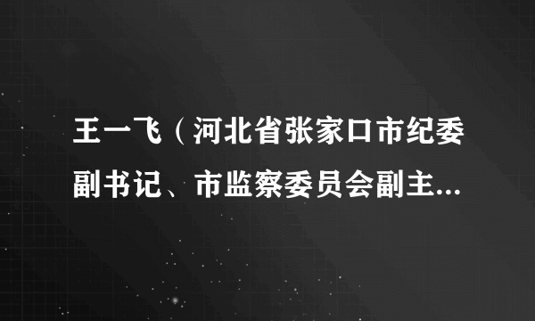 王一飞（河北省张家口市纪委副书记、市监察委员会副主任、一级调研员）